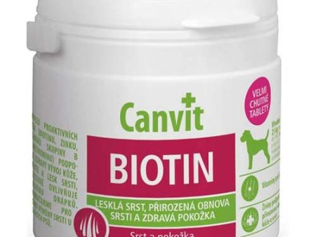 EXP 02MAR25 Canvit Dog Biotin Coat and Skin 100g Online now