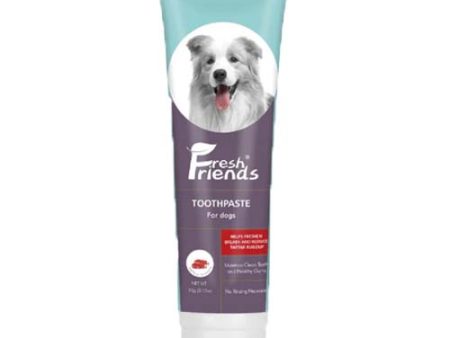 Fresh Friends Dog Toothpaste Beef Flavor 90g Cheap