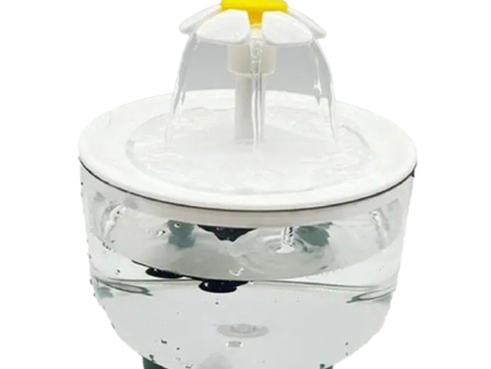 Water Fountain 1.2L For Discount